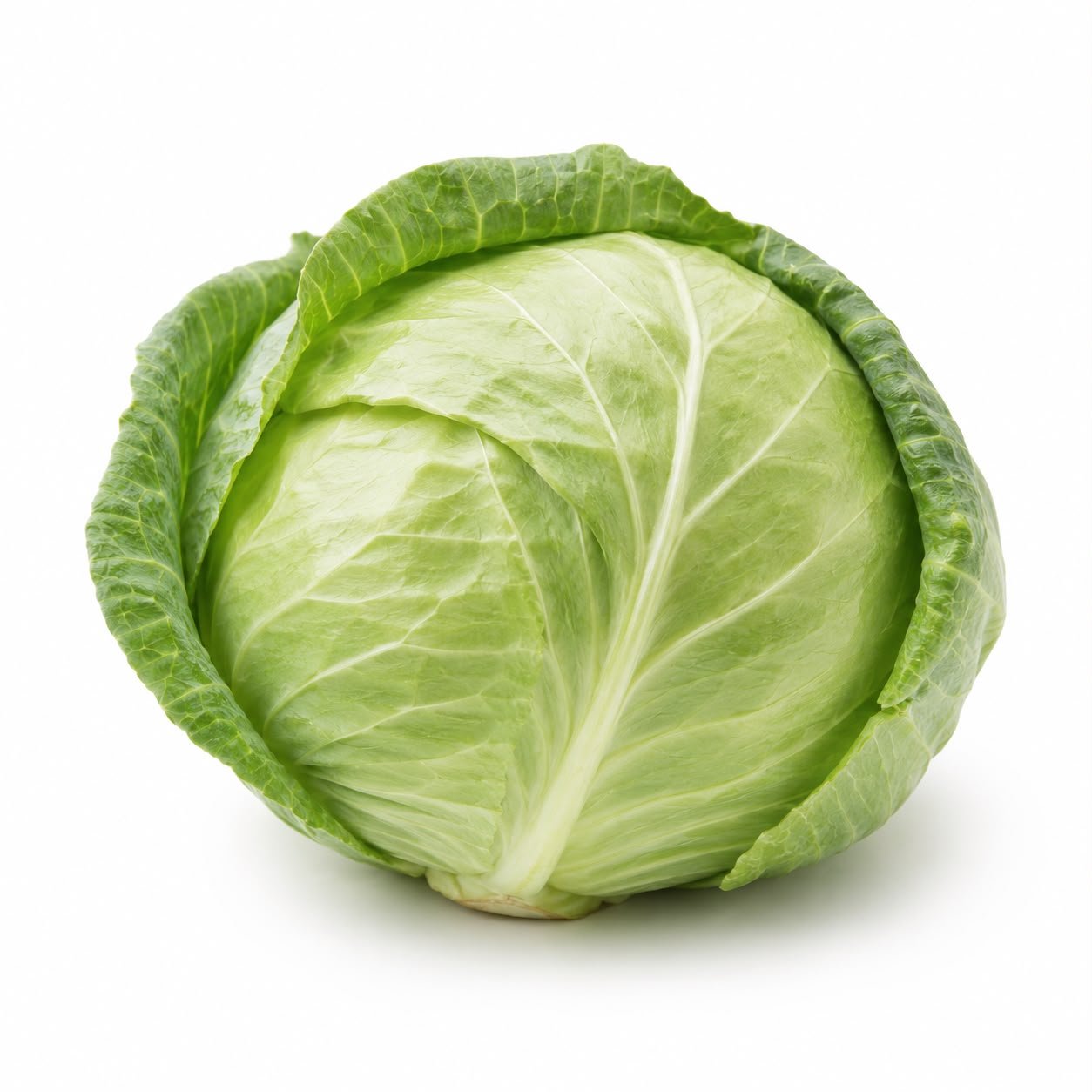 Cabbage (Patta Gobhi)